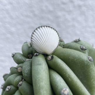 Bague bukit argent ajustable mademoiselle salty